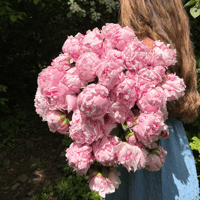 Image 1 of Peony Bouquets