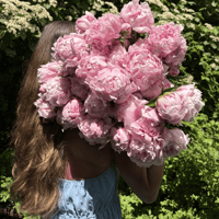 Image 3 of Peony Bouquets