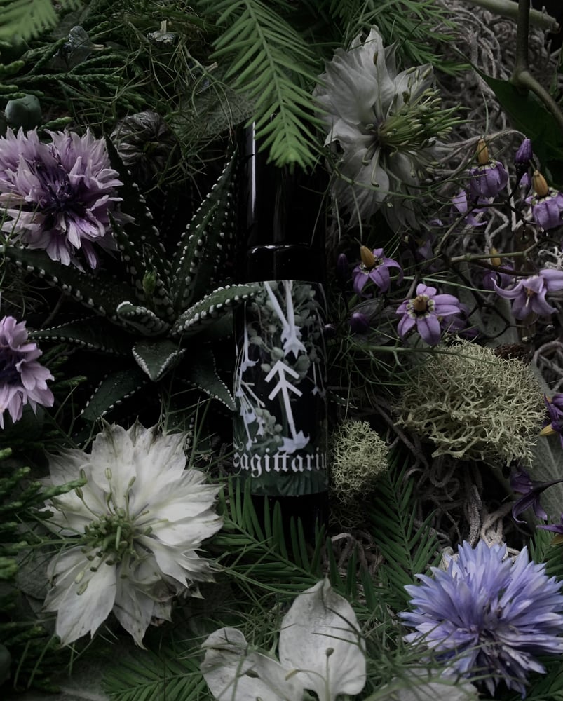 Image of Sagittarius Perfume (Stinging Nettle, Sage, Spikenard, Tobacco)
