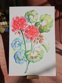 Image 2 of 6x9" Geranium Watercolor Print Hand Painted w/ Gold Ink