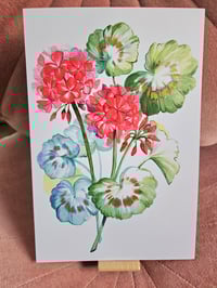 Image 1 of 6x9" Geranium Watercolor Print Hand Painted w/ Gold Ink