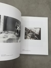 Image 12 of Nutzlich, Suss und Museal: Das fotografierte Tier - Ute Eskildsen