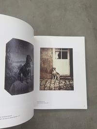 Image 5 of Nutzlich, Suss und Museal: Das fotografierte Tier - Ute Eskildsen