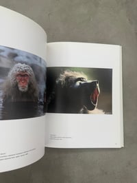 Image 6 of Nutzlich, Suss und Museal: Das fotografierte Tier - Ute Eskildsen
