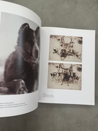 Image 8 of Nutzlich, Suss und Museal: Das fotografierte Tier - Ute Eskildsen