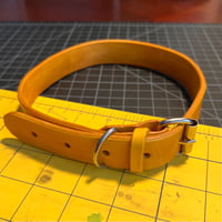 Image 4 of Basic Collar