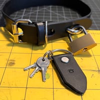 Image 3 of Locking Collar