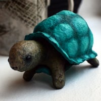 Image 1 of Little Tortoise
