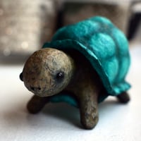 Image 3 of Little Tortoise
