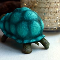 Image 4 of Little Tortoise