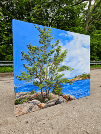 Image 4 of - Killarney Inlet -