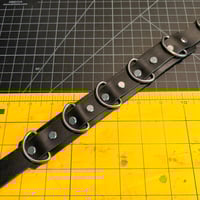 Image 2 of 5 Ring Play Collar 