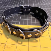 Image 1 of 7 Ring Play Collar