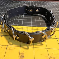 Image 1 of 9 Ring Play Collar