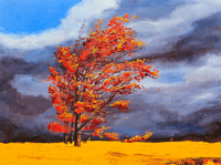Image 1 of - Going With The Wind -