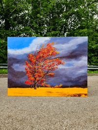 Image 3 of - Going With The Wind -
