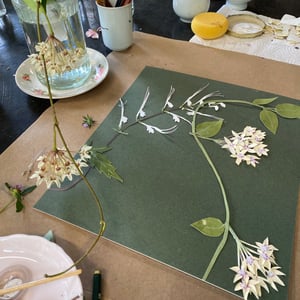 Image of SUNDAY ART WORKSHOP -  21 DECEMBER,  'FLOWERING' - Paper Botanical Cut-outs