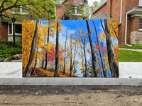 Image 2 of - Autumn Gold -