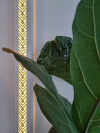 *NEW Light Sculptures 