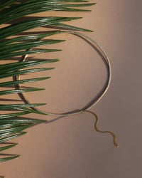 Image 1 of Hestia Collar Necklace