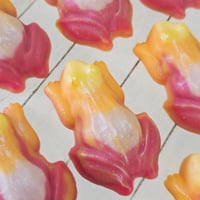 Image 2 of Rainbow Sherbet 