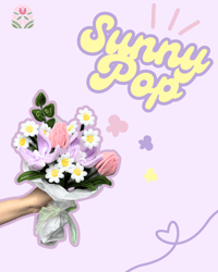Image 1 of Sunny Pop - DIY