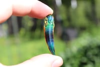 Image 1 of Cosmo Fang