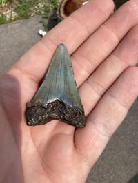 Meg