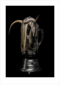 ART to GO | Endangered Species 