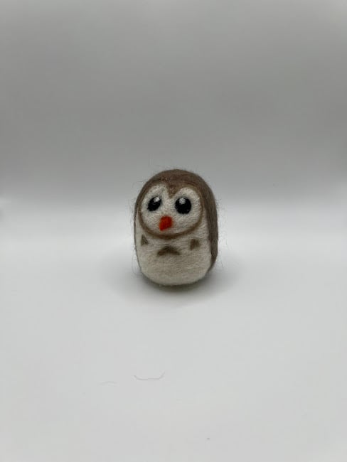 Image of Pocket Owl