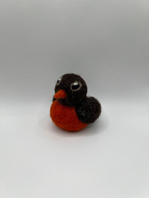 Image of Little Robin Birb