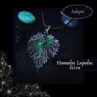 Image 5 of ☽ Humulus Lupulus ☾