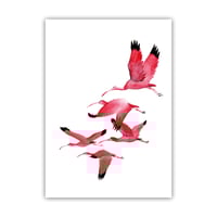 Image 3 of Set van 7 gevouwen A6 kaarten vogels