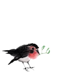 Image 4 of Set van 7 gevouwen A6 kaarten vogels