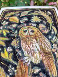 Image 4 of Tawny Owl Hanging