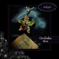 Image 8 of ☽ Orchidea ☾