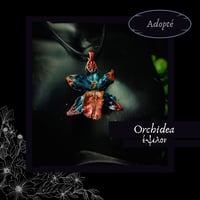 Image 5 of ☽ Orchidea ☾