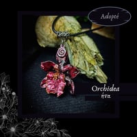 Image 7 of ☽ Orchidea ☾