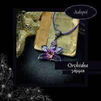 Image 3 of ☽ Orchidea ☾