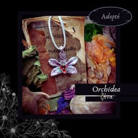 Image 6 of ☽ Orchidea ☾