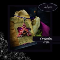Image 1 of ☽ Orchidea ☾