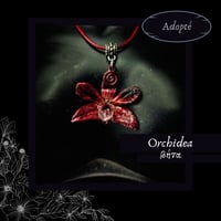 Image 2 of ☽ Orchidea ☾
