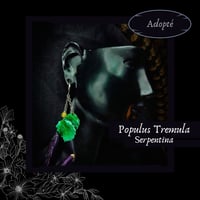 Image 1 of ☽ Populus Tremula Serpentina ☾