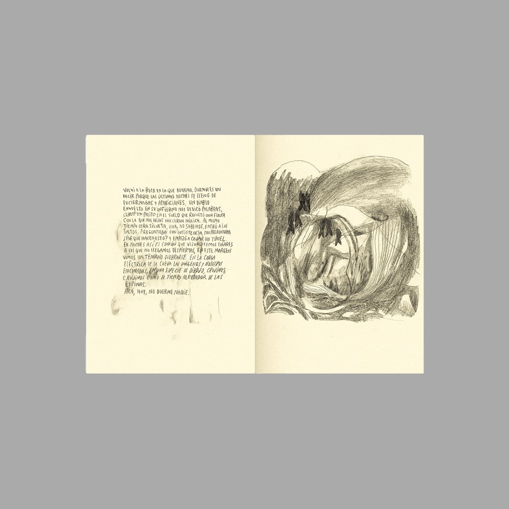 Image of [BELLEZA INFINITA™] DIARIO DE UN HUESO CURVO (PABLO BESSE™)