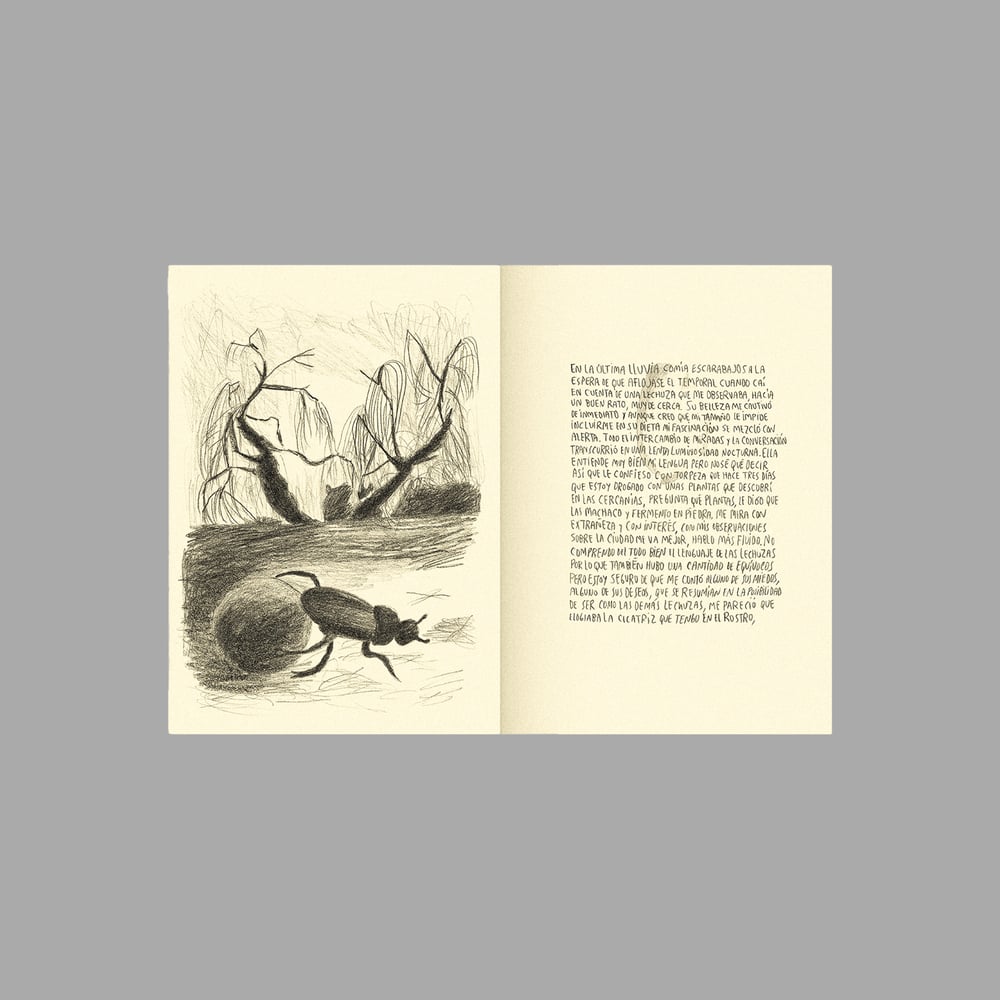 Image of [BELLEZA INFINITA™] DIARIO DE UN HUESO CURVO (PABLO BESSE™)