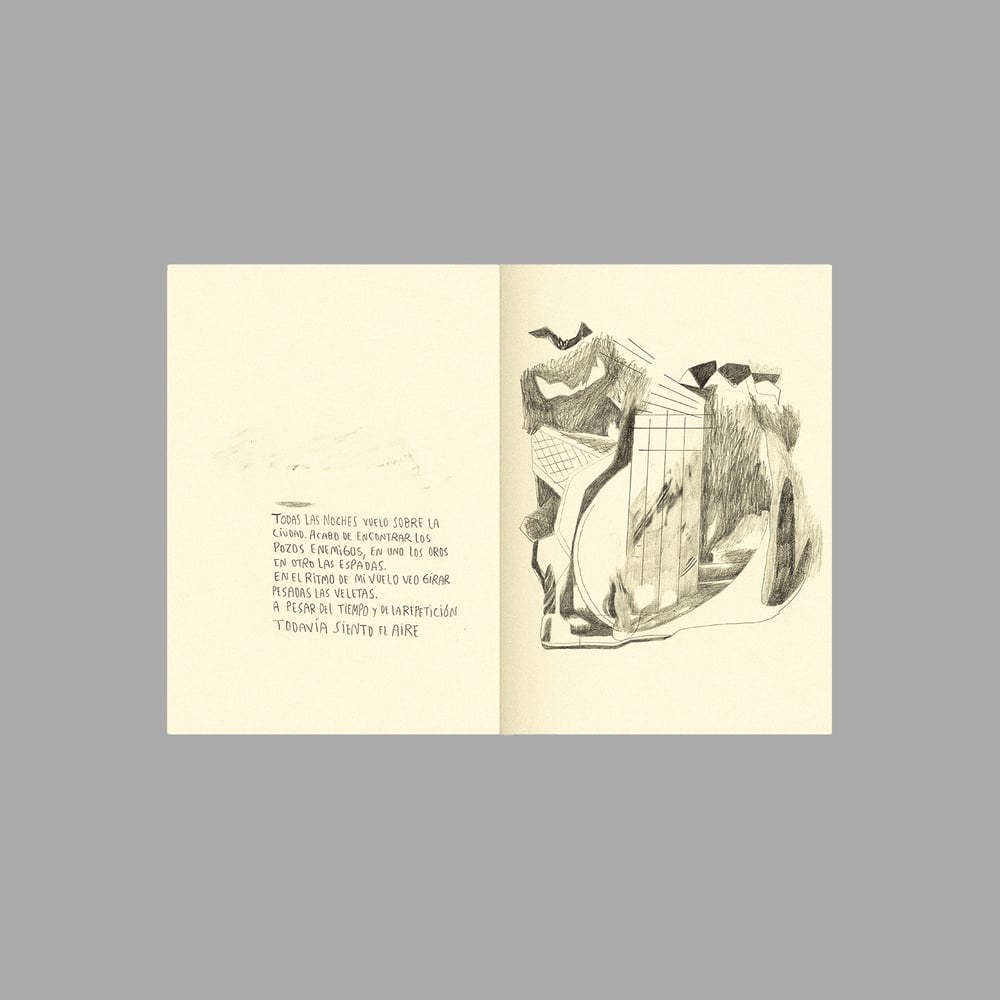 Image of [BELLEZA INFINITA™] DIARIO DE UN HUESO CURVO (PABLO BESSE™)