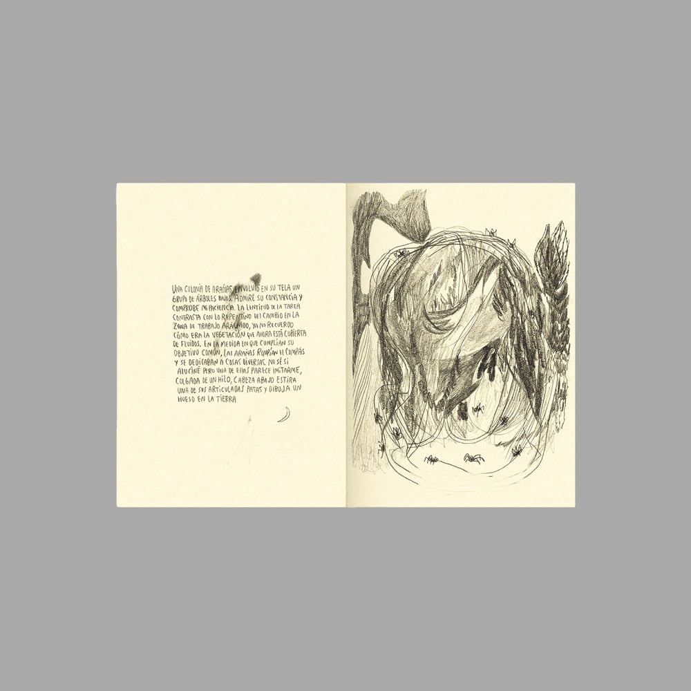 Image of [BELLEZA INFINITA™] DIARIO DE UN HUESO CURVO (PABLO BESSE™)