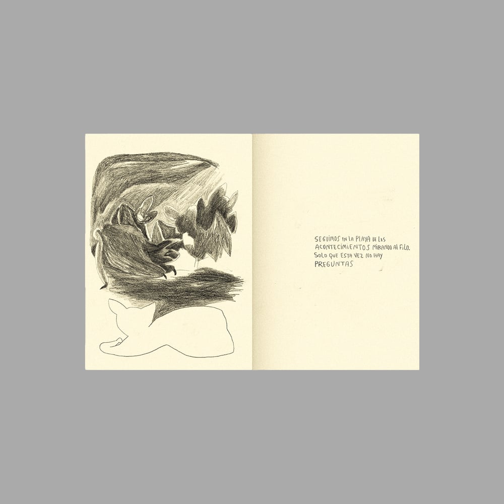 Image of [BELLEZA INFINITA™] DIARIO DE UN HUESO CURVO (PABLO BESSE™)