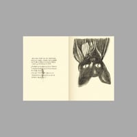 Image 2 of [BELLEZA INFINITA™] DIARIO DE UN HUESO CURVO (PABLO BESSE™)