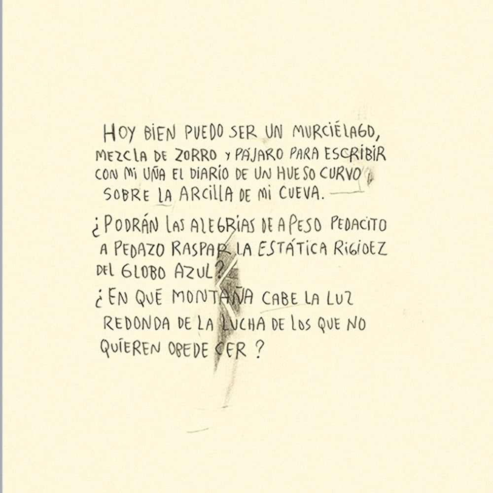Image of [BELLEZA INFINITA™] DIARIO DE UN HUESO CURVO (PABLO BESSE™)